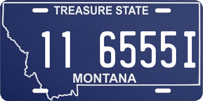 MT license plate 116555I