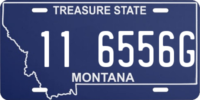 MT license plate 116556G
