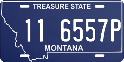 MT license plate 116557P