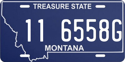 MT license plate 116558G