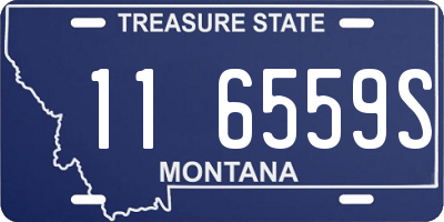 MT license plate 116559S