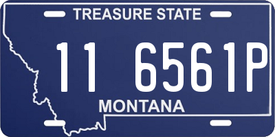 MT license plate 116561P