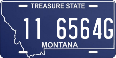 MT license plate 116564G