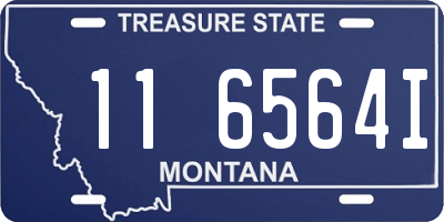 MT license plate 116564I