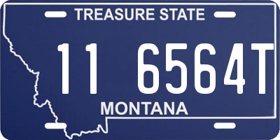 MT license plate 116564T
