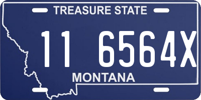 MT license plate 116564X