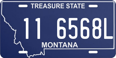 MT license plate 116568L