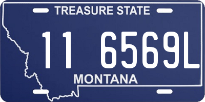 MT license plate 116569L