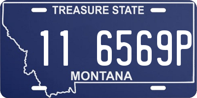 MT license plate 116569P