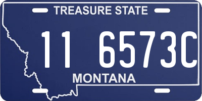 MT license plate 116573C