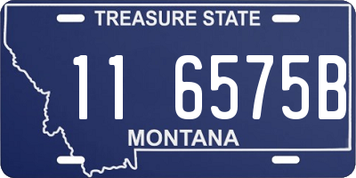 MT license plate 116575B