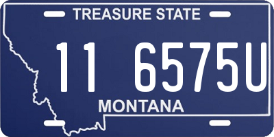 MT license plate 116575U