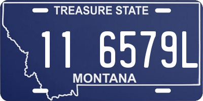 MT license plate 116579L