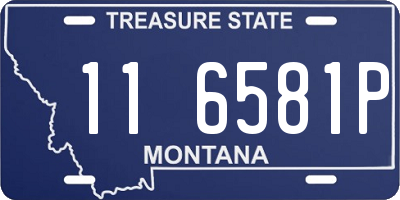 MT license plate 116581P