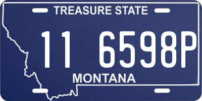 MT license plate 116598P