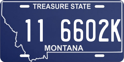 MT license plate 116602K