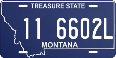 MT license plate 116602L