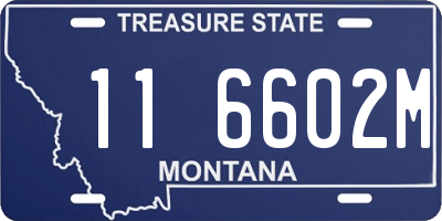 MT license plate 116602M