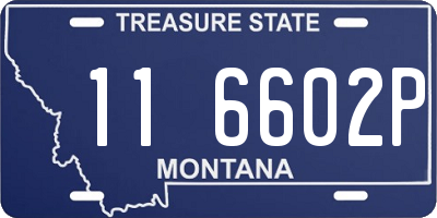 MT license plate 116602P