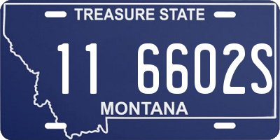 MT license plate 116602S
