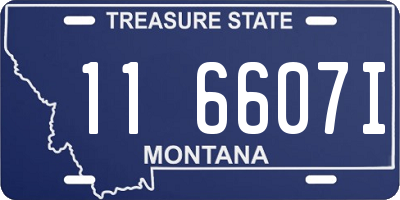 MT license plate 116607I
