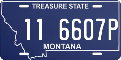 MT license plate 116607P