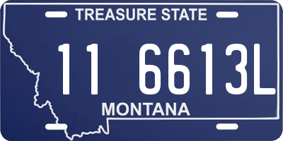 MT license plate 116613L