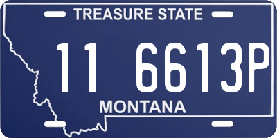 MT license plate 116613P