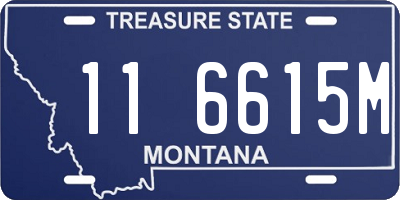 MT license plate 116615M