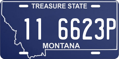 MT license plate 116623P
