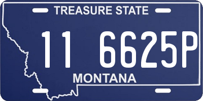 MT license plate 116625P