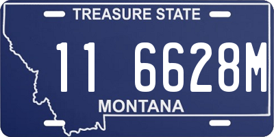 MT license plate 116628M