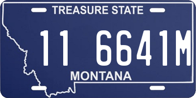 MT license plate 116641M