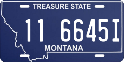 MT license plate 116645I
