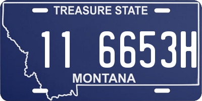 MT license plate 116653H