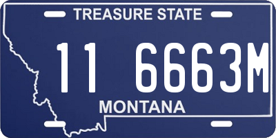 MT license plate 116663M