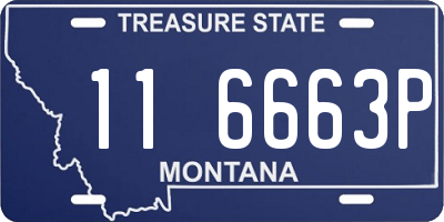 MT license plate 116663P