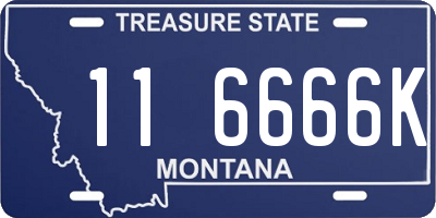 MT license plate 116666K