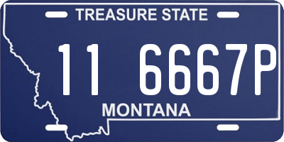 MT license plate 116667P