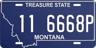 MT license plate 116668P
