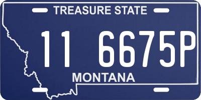 MT license plate 116675P