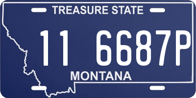 MT license plate 116687P