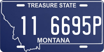 MT license plate 116695P