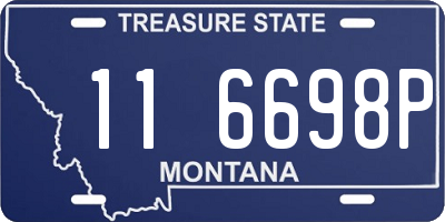 MT license plate 116698P