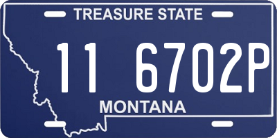 MT license plate 116702P