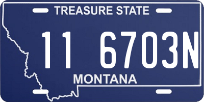MT license plate 116703N