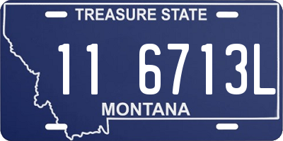 MT license plate 116713L