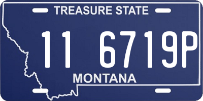 MT license plate 116719P