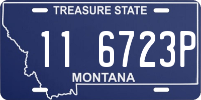 MT license plate 116723P