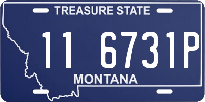 MT license plate 116731P